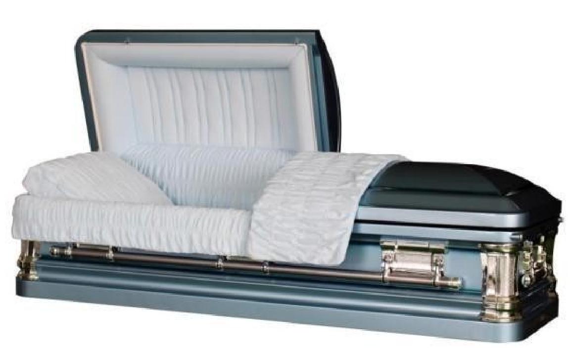 18 Gauge Steel Casket – Danube